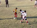 LVBF1FC2013 009