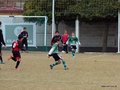LVBF2FC2013 029