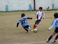 LVBF2FC2013 074