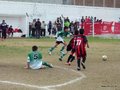 LVBF2FC2013 028