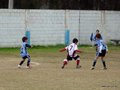 LVBF2FC2013 078