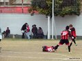 LVBF2FC2013 008