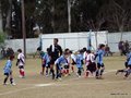 LVBF2FC2013 057