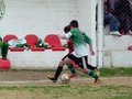 LVBF2FC2013 002