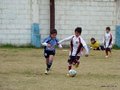 LVBF2FC2013 087