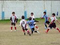 LVBF2FC2013 084