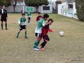 LVBF2FC2013 034