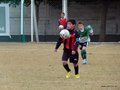 LVBF2FC2013 022