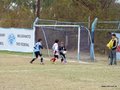 LVBF2FC2013 091