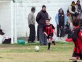 LVBF2FC2013 001