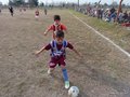 LVBF3FC2013 033