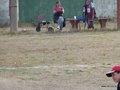 LVBF3FC2013 007