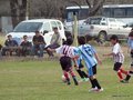 LVBF3FC2013 044