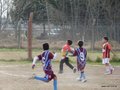 LVBF3FC2013 038
