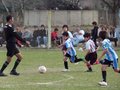 LVBF3FC2013 045