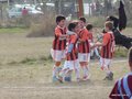 LVBF3FC2013 011