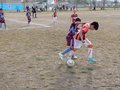 LVBF3FC2013 030