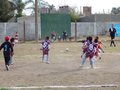 LVBF3FC2013 025