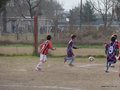 LVBF3FC2013 035