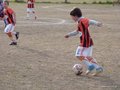 LVBF3FC2013 019