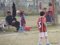 LVBF3FC2013 003