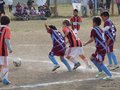 LVBF3FC2013 022