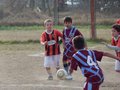 LVBF3FC2013 012