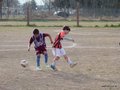 LVBF3FC2013 016