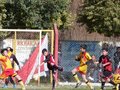 LVBF6FC2013 010