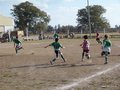 LVBF6FC2013 031