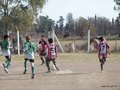 LVBF6FC2013 032