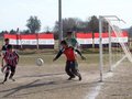 LVBF6FC2013 041