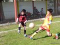 LVBF6FC2013 017