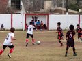 LVBF7FC2013 006