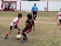 LVBF7FC2013 018