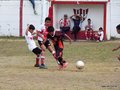 LVBF7FC2013 016