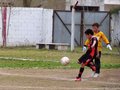 LVBF7FC2013 012