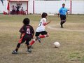 LVBF7FC2013 019