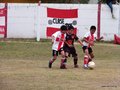 LVBF7FC2013 015