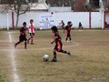 LVBF7FC2013 001