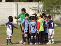 LVBF8FC2013 071
