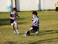 LVBF8FC2013 085