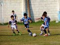 LVBF8FC2013 079