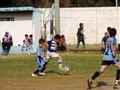 LVBF8FC2013 095