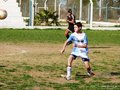 LVBF8FC2013 019