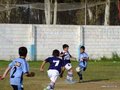 LVBF8FC2013 093