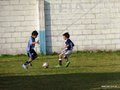 LVBF8FC2013 075
