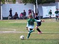 LVBF9FC2013 019