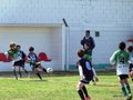 LVBF9FC2013 031