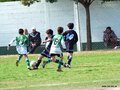 LVBF9FC2013 045